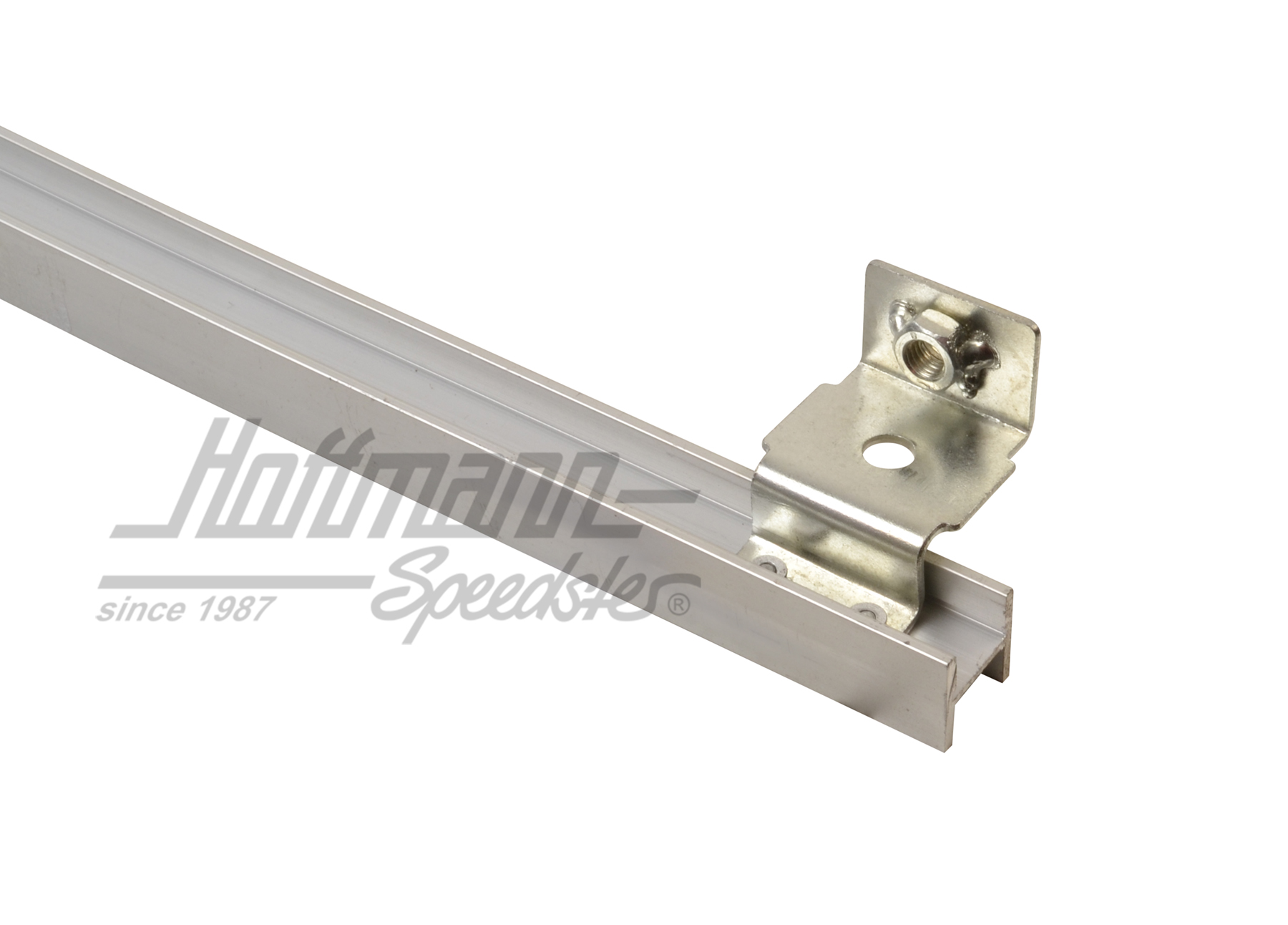 Glissière, vitre de porte/déflecteur, droite, argentine                                             