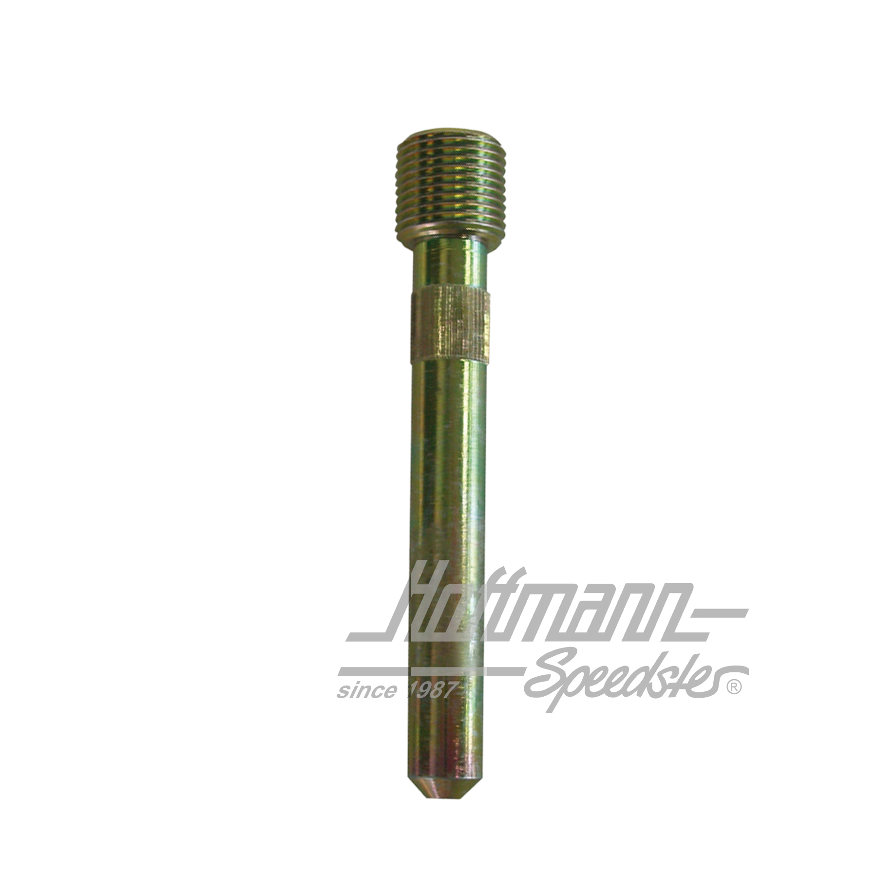 Axe de charnière de porte avec filet (standard) | 111 831 423 C | 045-9218