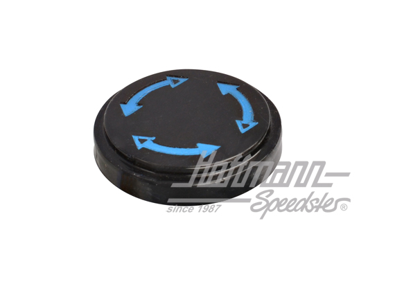 Insert de symbole, bouton air frais, flèches bleues | 113 819 663 A | 020-1872-31