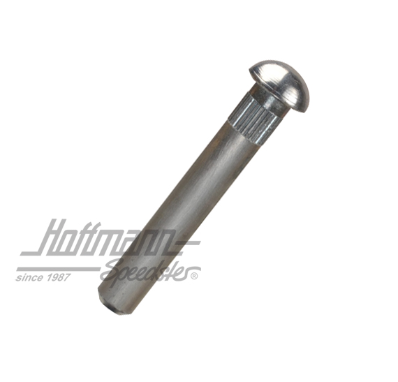 Axe de charnière de porte, ø8.2mm (standard)                                                        