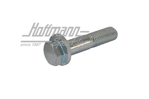 Vis excentrique, jambe de force, Golf 1 | 171 407 265 | 140-3422