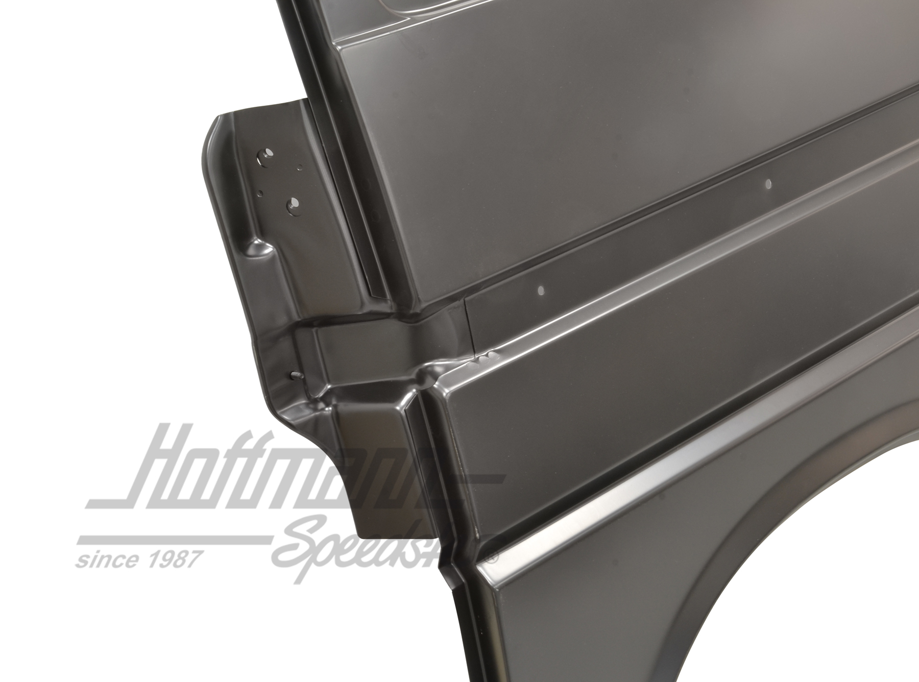 Panneau latéral, arrière, 1.96-10.0096-00, gauche (court)                                           