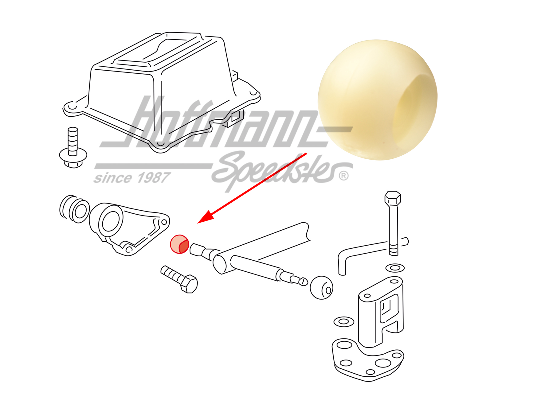 Boule de support, support de palier
, avant, 19mm | 7D0 711 131 | 407-2010-38
