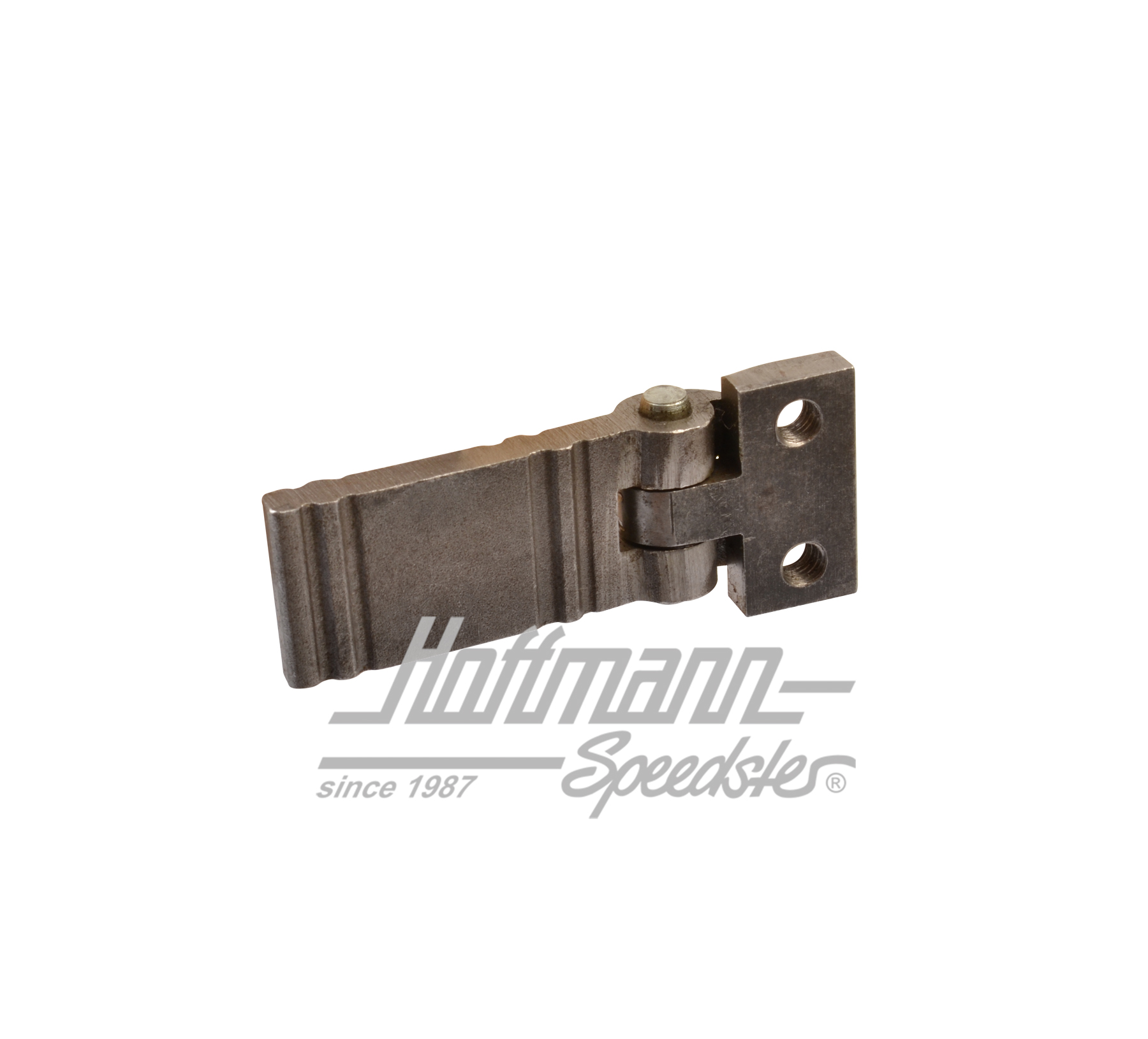Charnière de porte, porte avant, Bus T3 | 251 831 401 | 360-4200