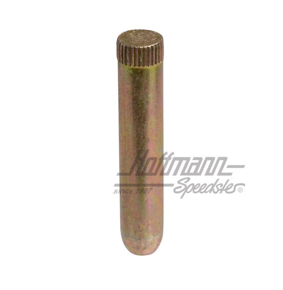 Axe de charnière de porte, ø8mm, Bus T2, 75-79 | 211 831 421 C | 097-1008-30