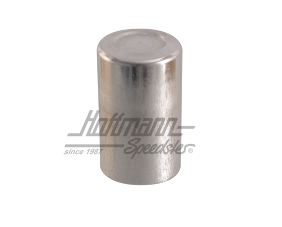 Boîtier de filtre (grand), robinet d'essence                                                        