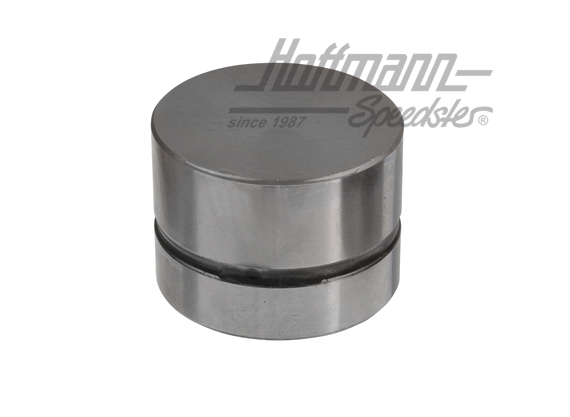 Poussoir de soupape (poussoir hydraulique), 1.6-1.8 | 034 109 309 AD | 110-1100