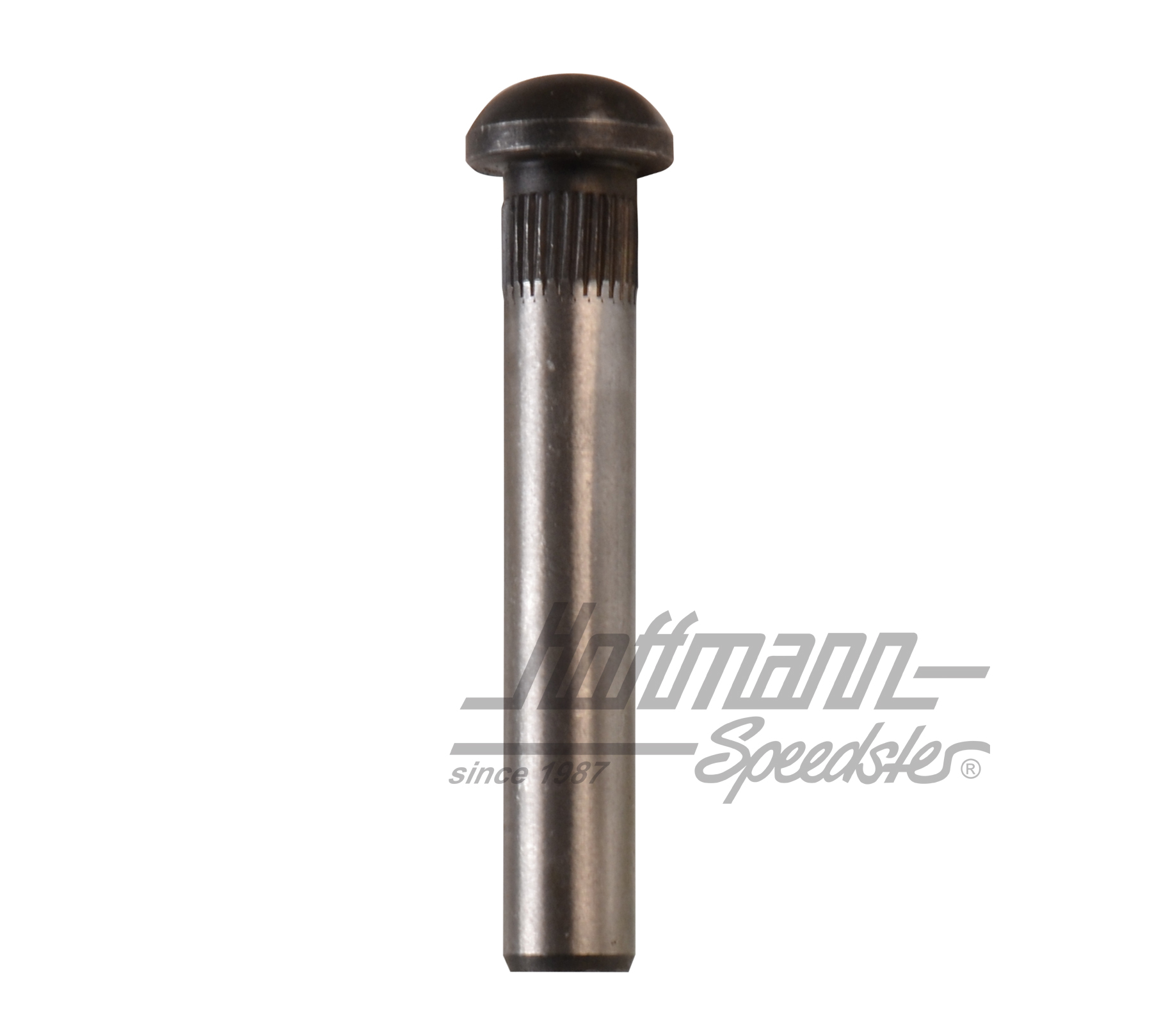 Axe de charnière de porte, ø8.2mm (standard) | 211 831 421 | 089-5040-07